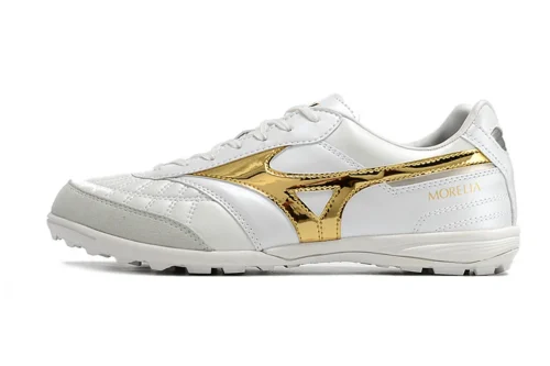 Mizuno Morelia Neo Sala Society
